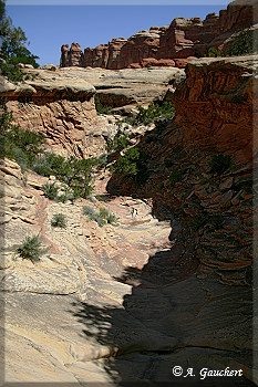 Elephant Canyon